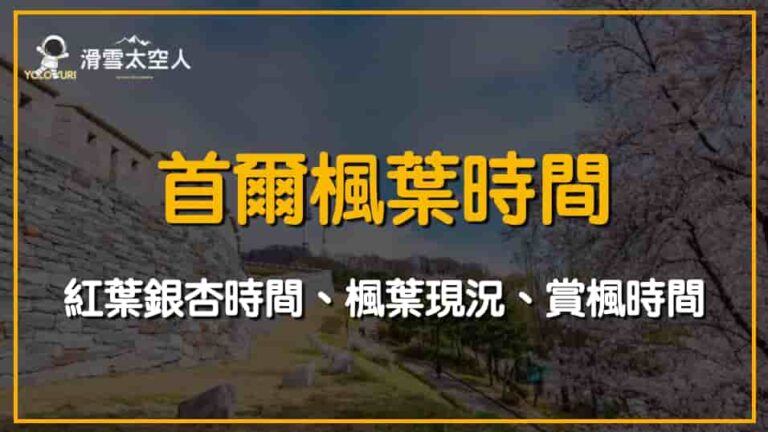 首爾楓葉