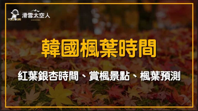韓國楓葉
