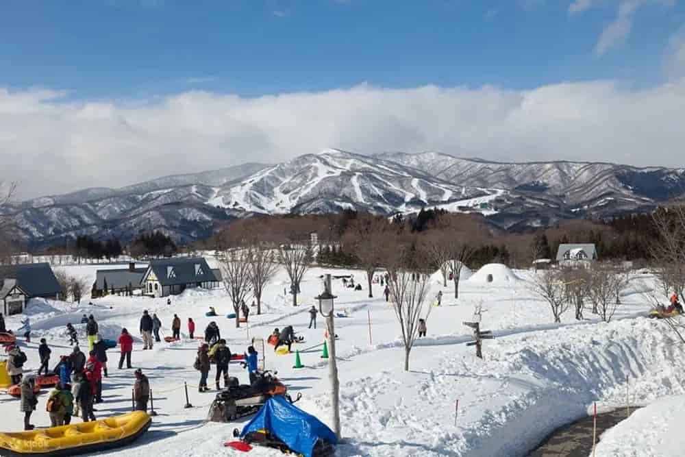 2025名古屋冬天|名古屋12月/1月/2月溫度/下雪/旅遊行程/穿著/活動 7
